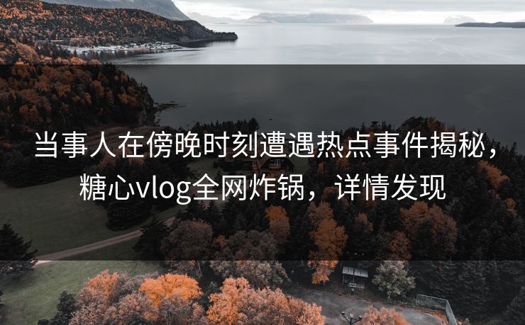 当事人在傍晚时刻遭遇热点事件揭秘，糖心vlog全网炸锅，详情发现